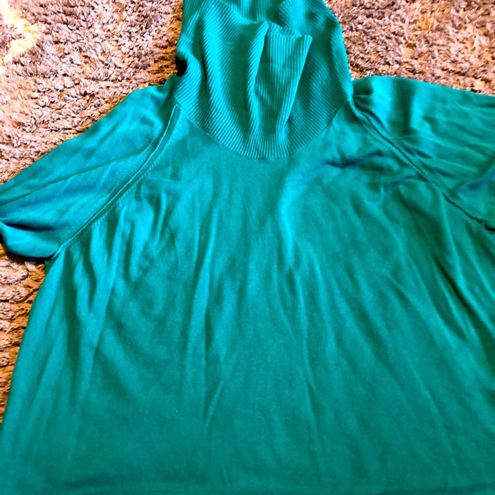 Teal jeanne Pierre sweater